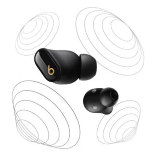 Beats Studio Buds plus (Black/Gold)