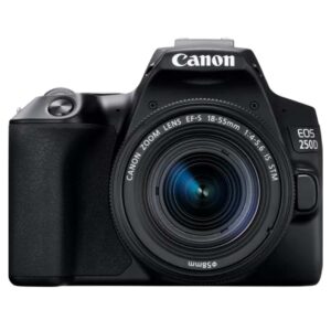Canon EOS 250D with 18-55mm