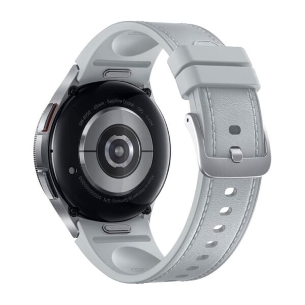 Watch 6 Classic 43mm