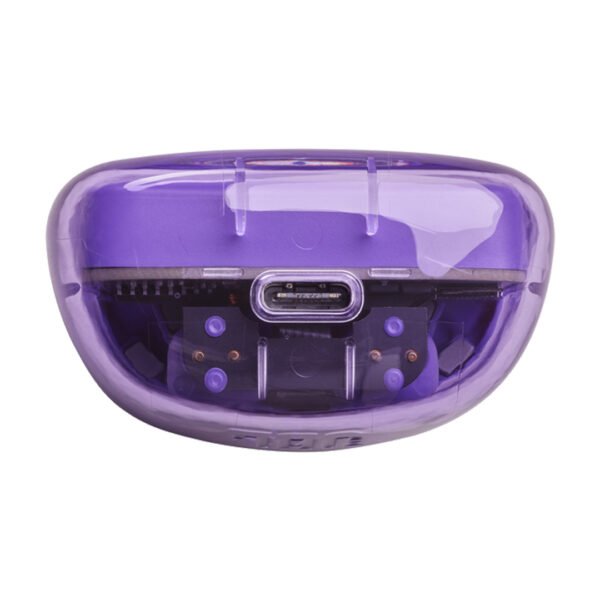 JBL TUNE FLEX wireless Earbuds Purple
